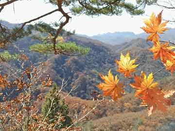 辛选集团将和孩子王合作打造母婴童领域的“山姆”|界面新闻 · 快讯